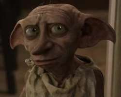 The actor is also known for various voice roles including the voice of 'Dobby the house elf' in the fantasy film 